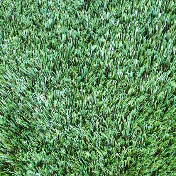 Green Grass close-up — Stock Photo, Image