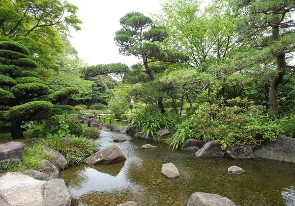 Verde jardim japonês — Fotografia de Stock