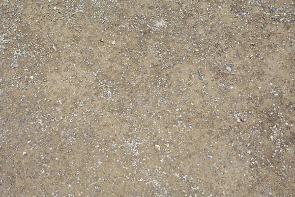 Terrazzo floor texture, background consisting — Stock Photo, Image