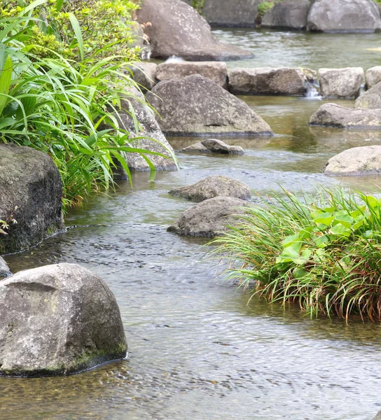 Grüner japanischer Garten — Stockfoto