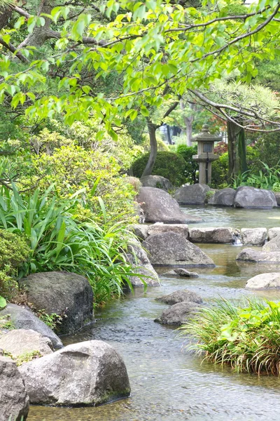 山の川に流れる — ストック写真