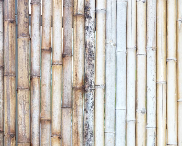 Bamboe hek textuur — Stockfoto