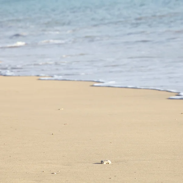 Plage de sable fond d'eau — Photo