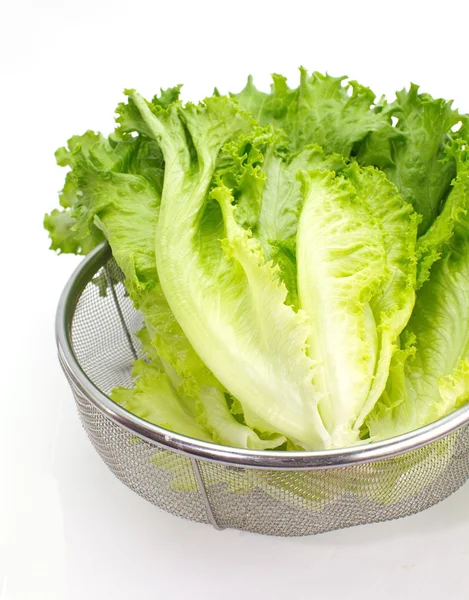 Grüner frischer Salat — Stockfoto