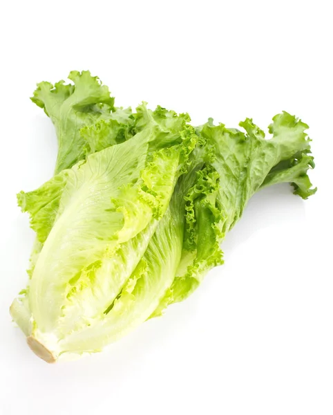 Lechuga fresca — Foto de Stock