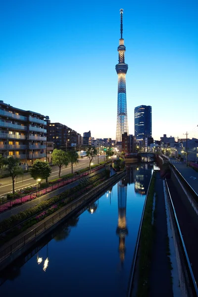 Tokyo Sky ağaç — Stok fotoğraf