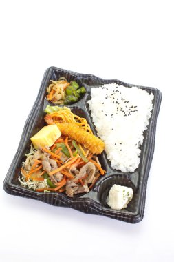 Japon hazır beslenme çantası