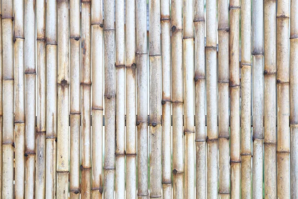 天然の竹のテクスチャ — ストック写真
