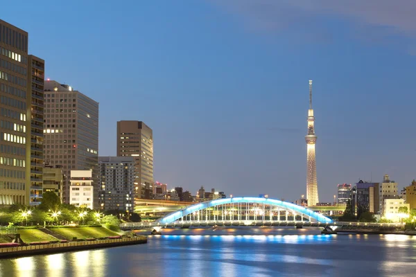 Tokyjskou sky tree — Stock fotografie