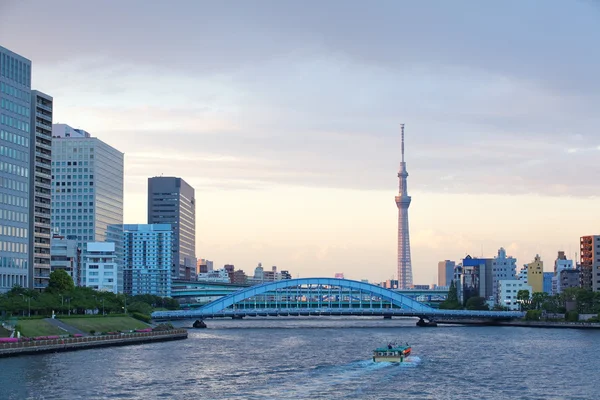 Tokyo Sky ağaç — Stok fotoğraf