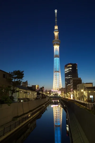 Tokyo Sky ağaç — Stok fotoğraf