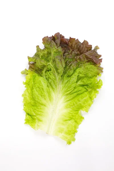 Red lettuce — Stock Photo, Image