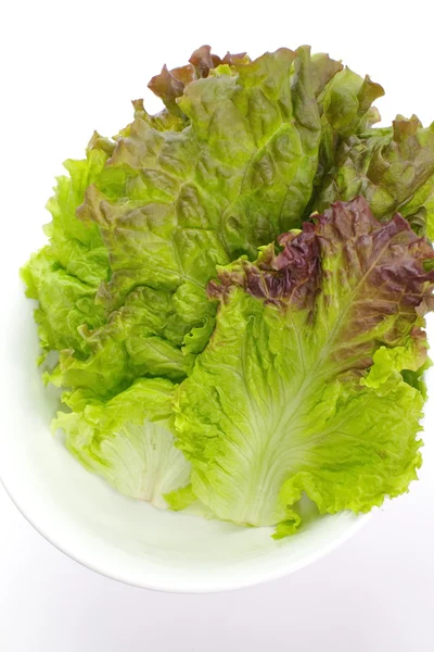 Red lettuce — Stock Photo, Image