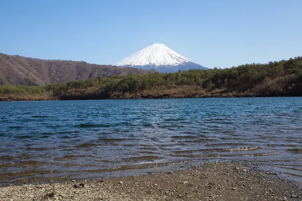 Montagna Fuji in primavera, Fiori di ciliegio Sakura — Foto Stock