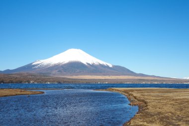 Bahar, cherry blossom sakura, fuji Dağı