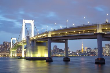 Tokyo Körfezi, Gökkuşağı Köprüsü ve tokyo tower