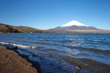 Bahar, cherry blossom sakura, fuji Dağı