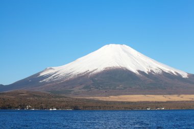 Bahar, cherry blossom sakura, fuji Dağı