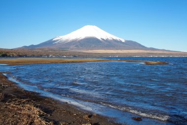 Bahar, cherry blossom sakura, fuji Dağı
