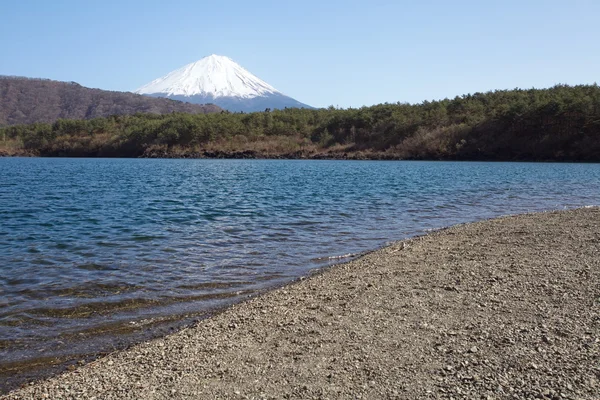 ภูเขาไฟฟูจิในฤดูใบไม้ผลิ ดอกซากุระ — ภาพถ่ายสต็อก