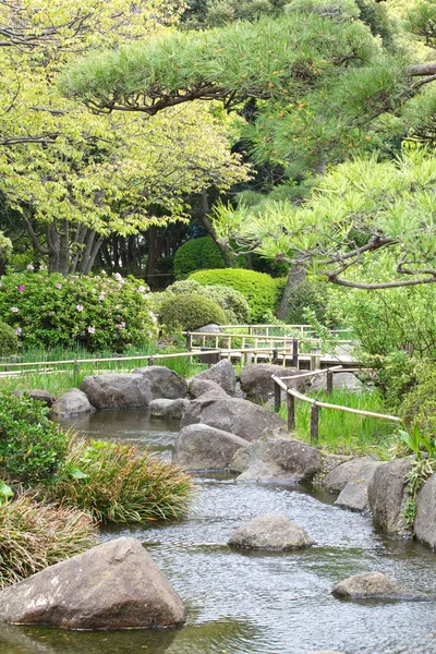 Verde jardín japonés — Foto de Stock