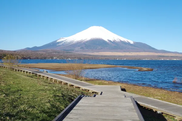 Berg fuji in voorjaar, cherry blossom sakura — Stockfoto