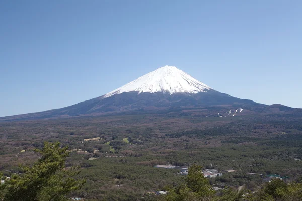 Montaña Fuji en primavera, flor de cerezo Sakura —  Fotos de Stock