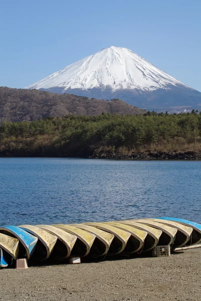 Montaña Fuji en primavera, flor de cerezo Sakura — Foto de Stock