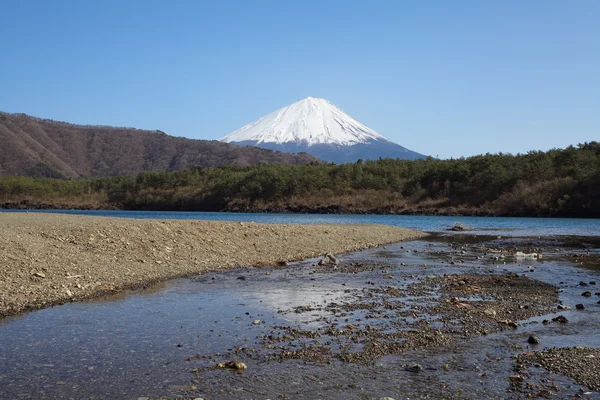 Montagna Fuji in primavera, Fiori di ciliegio Sakura — Foto Stock