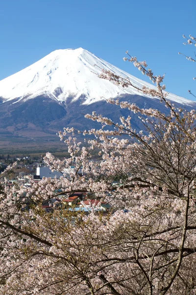 Monte Fuji e lago di Achi — Foto Stock