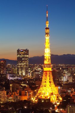 Tokyo şehir manzaralı ve alacakaranlıkta tokyo tower