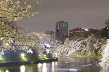 Tokyo, Japonya - 05 Mayıs 2015: 