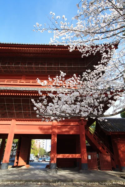 Sakura θέα στο πάρκο chidorigafuchi — Φωτογραφία Αρχείου