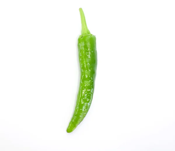 Jedno zielone chili — Zdjęcie stockowe