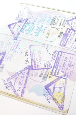 Göçmenlik varış karnesiyle pasaportu