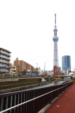 tokyo sky ağaç görünümü