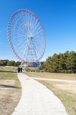 renkli ferris whee