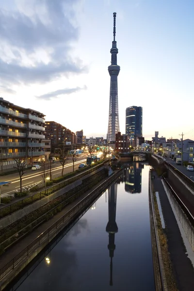 Tokyo Sky ağaç — Stok fotoğraf