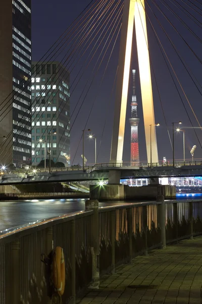 Погляд tokyo небо дерево — стокове фото