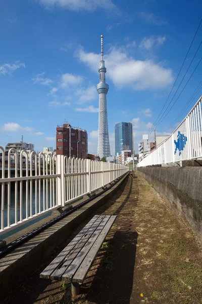 Widok drzewa niebo Tokio — Zdjęcie stockowe