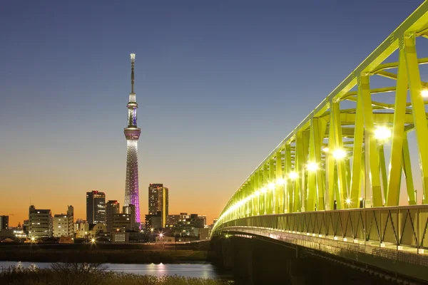 Weergave van tokyo skyline van Sumidagawa — Stockfoto