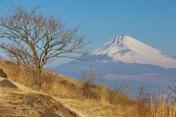 Berg fuji in winterseizoen van izu kanagawa prefecture, japan — Stockfoto
