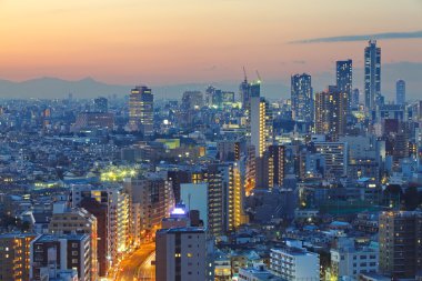 tokyo şehir manzarası