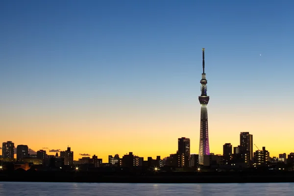 Tokyo Sky ağaç — Stok fotoğraf