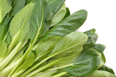 Taze yaprakları ıspanak üzerinde 