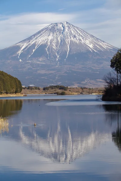 山富士 — 图库照片