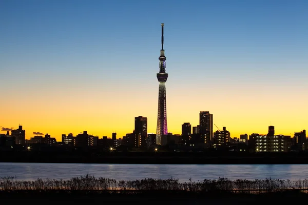 Ciel arbre de Tokyo — Photo