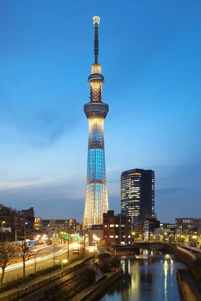 Árbol cielo de Tokio — Foto de Stock