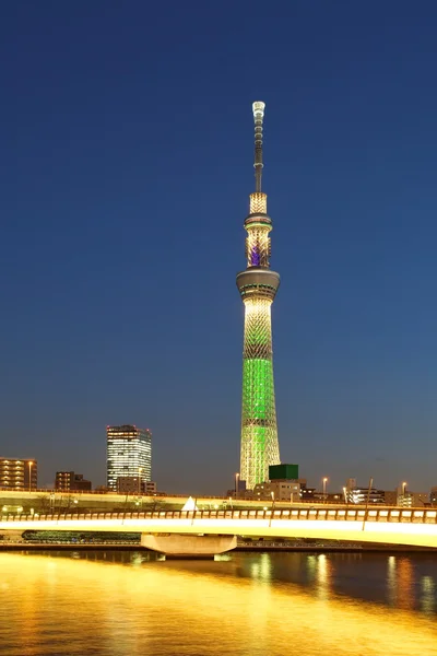 Árbol cielo de Tokio —  Fotos de Stock