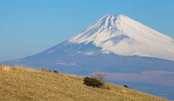 Mountain Fuji in winter — Stock Photo, Image